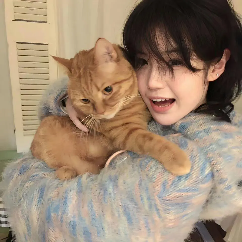 食草老龙被冠以恶龙之名第二季